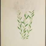 Photo of a watercolour painting of a Seneca Root plant.